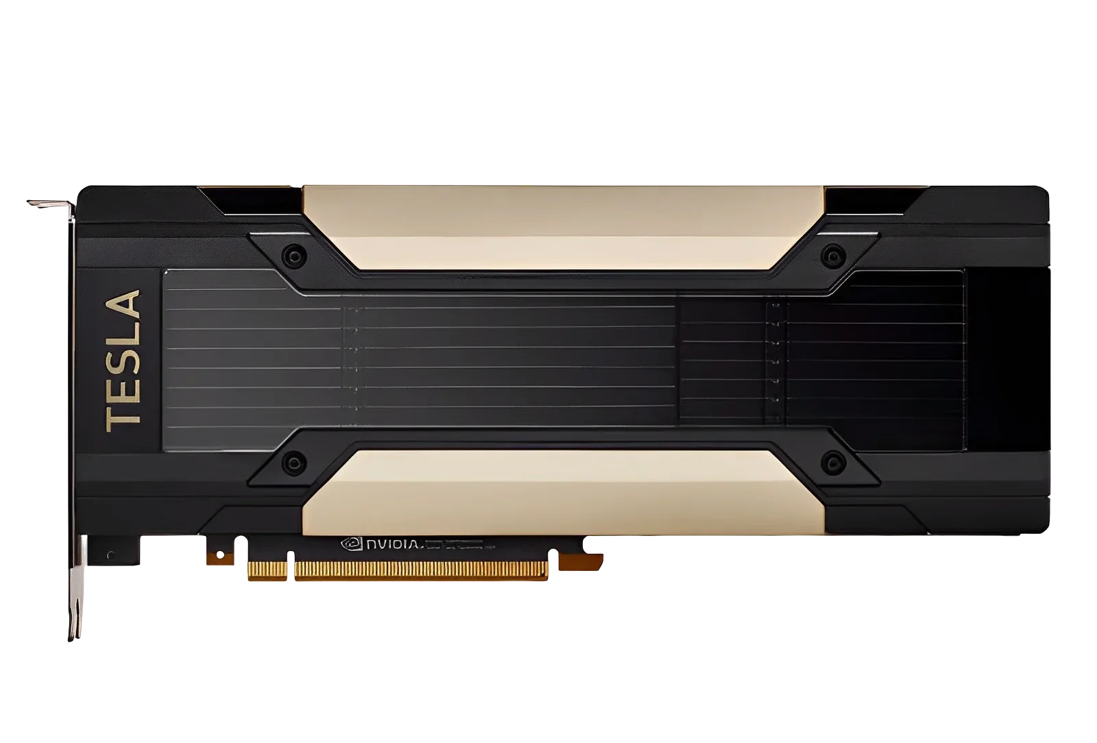 V100/P100/T4/P4/P40/M10/M40 GP - Ddr5 8Gb บทวิจารณ์และราคา
